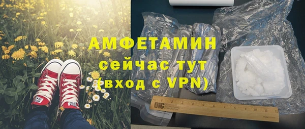 твердый Арсеньев