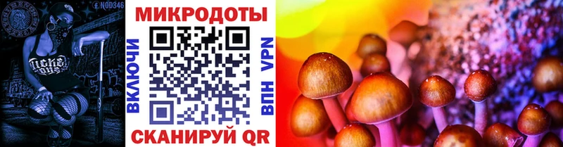 Галлюциногенные грибы Psilocybe  МЕГА зеркало  площадка клад  купить наркотик  Свободный 